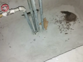 岢岚卫生间测漏水价格明细