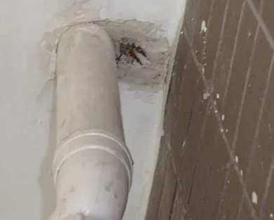 岢岚漏水检测哪家好